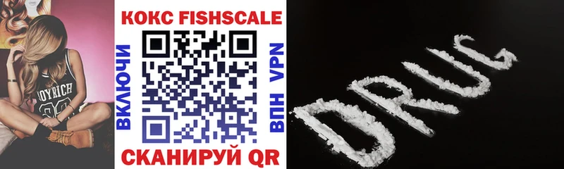 цены наркотик  Мирный  COCAIN FishScale 