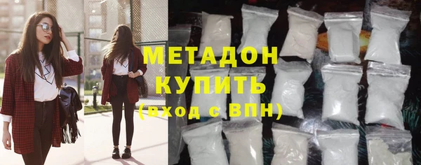прущие грибы Абаза