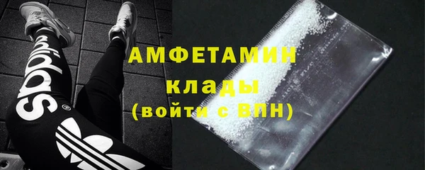 прущие грибы Абаза