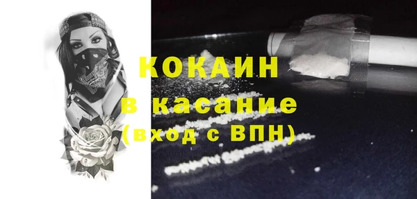 прущие грибы Абаза