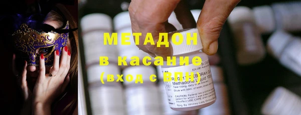 прущие грибы Абаза