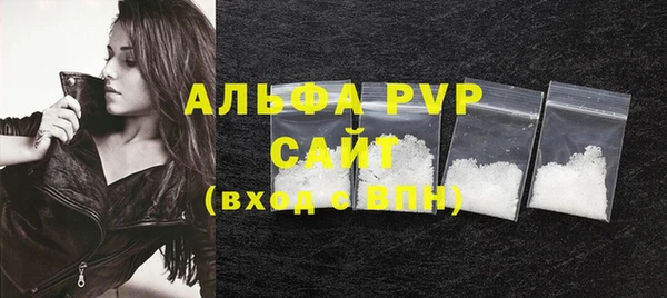 стаф Дмитриев
