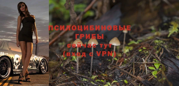 винт Алзамай