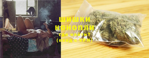прущие грибы Абаза
