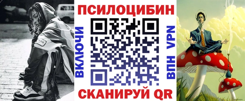 где продают наркотики  Мирный  Псилоцибиновые грибы Psilocybe 