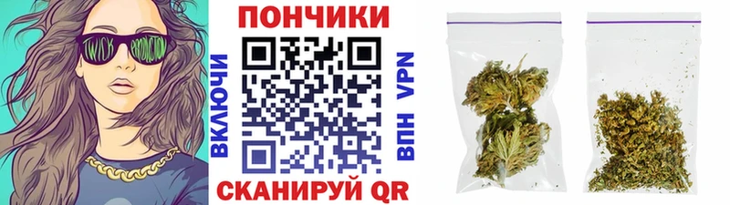 где купить наркоту  площадка клад  blacksprut как зайти  Канабис Amnesia  Мирный 